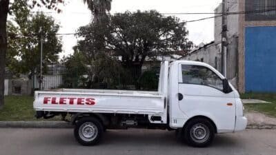 Fletes,mudanzas Y Elevaciones Con O Sin Peones