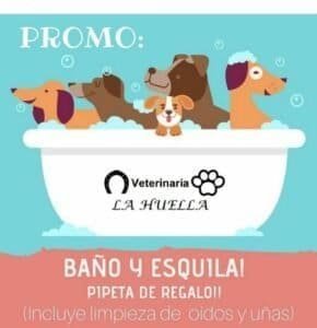 Promo baño y esquila