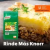 Rinde Mas Para Carne Picada Knorr 1.100kg - Imagen 2