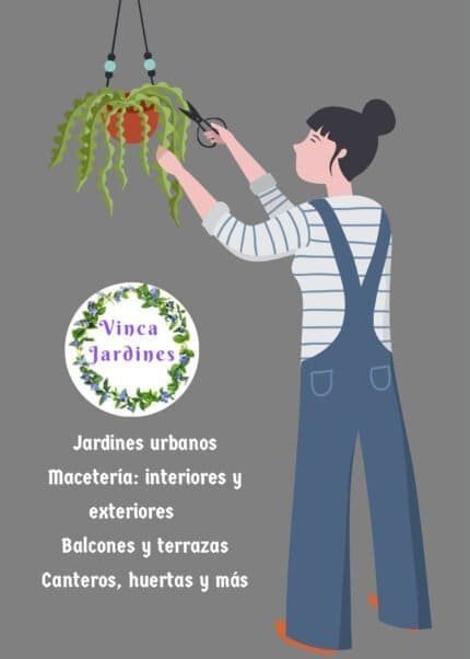 PAISAJISMO - CURSOS Y TALLERES - BOUTIQUE DE PLANTAS Y FLORES