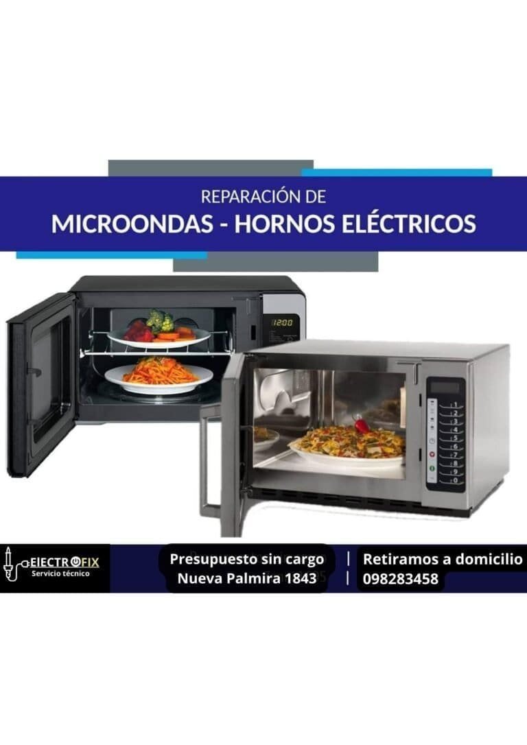 microondas