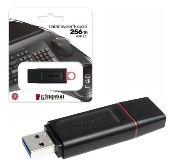 Pendrive Kingston Dtx 256gb Usb 3.2 - Ncom