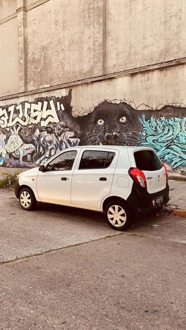 Suzuki Alto 0.8 800 - Imagen 12