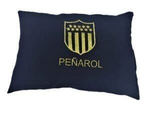 Almohadas Decorativas Bordadas