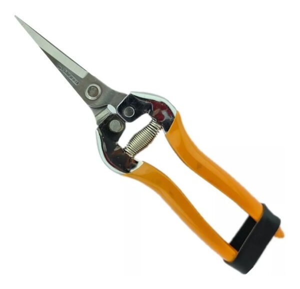 Tijera De Podar Fruta Uva Toolmak Color Naranja