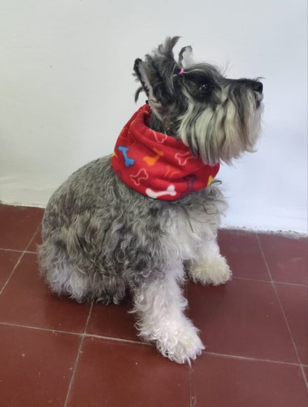 Cuello polar para perros - Imagen 4
