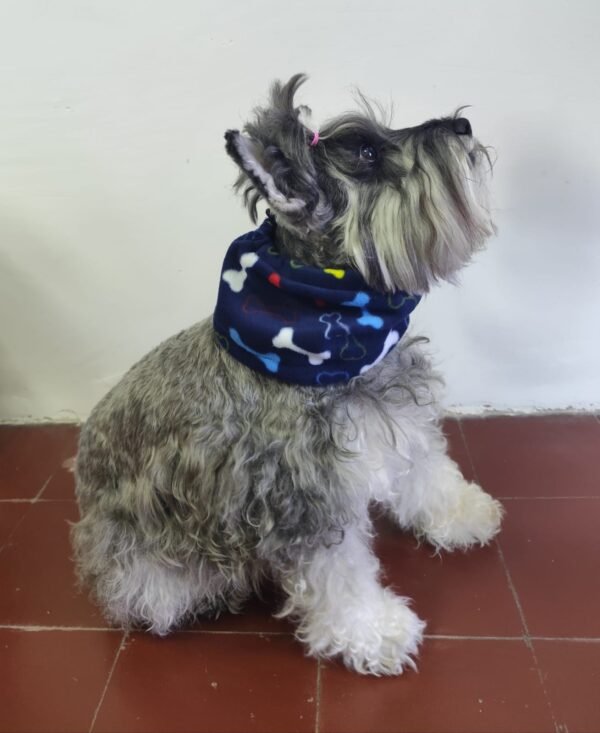 Cuello polar para perros - Imagen 3