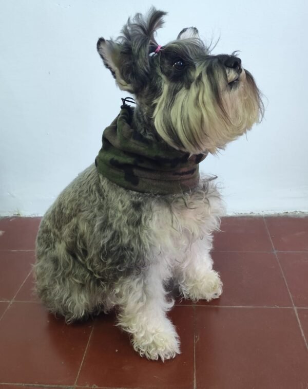 Cuello polar para perros - Imagen 2