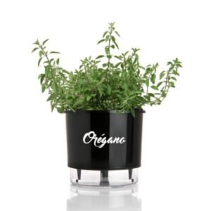 MACETA PARA OREGANO 16 X 14.5 CM