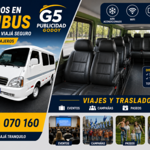 Mini Bus 10 pasajeros